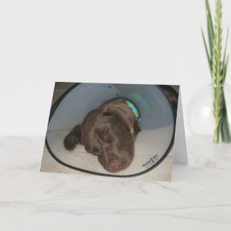 Cartão Obtenha bem logo