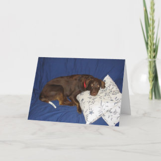 Cartão Obtenha Jake bom