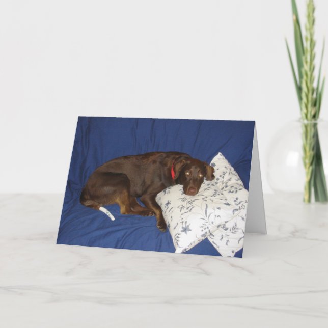 Cartão Obtenha Jake bom (Frente)