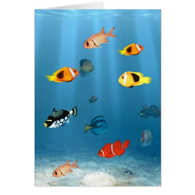 Cartão Oceanos De Peixes (Frente)