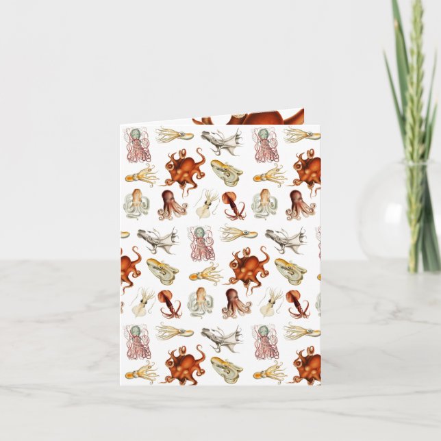 Cartão Octopus Cephaloposo Oceânico (Frente)