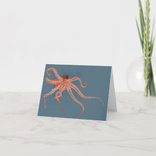Cartão Octopus Ilustrado