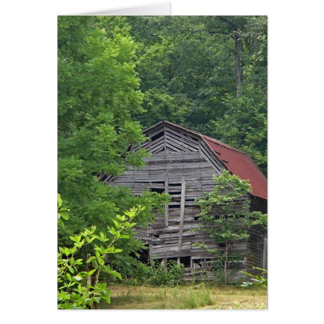 Cartão Ocultar (Frente)