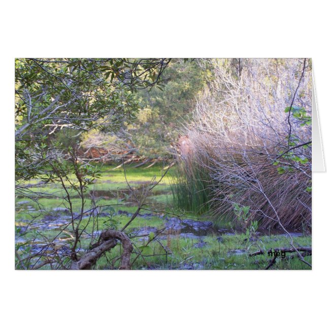 Cartão Ocultar e Procurar (Frente horizontal)