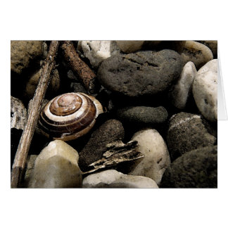 Cartão Ocultar e Procurar