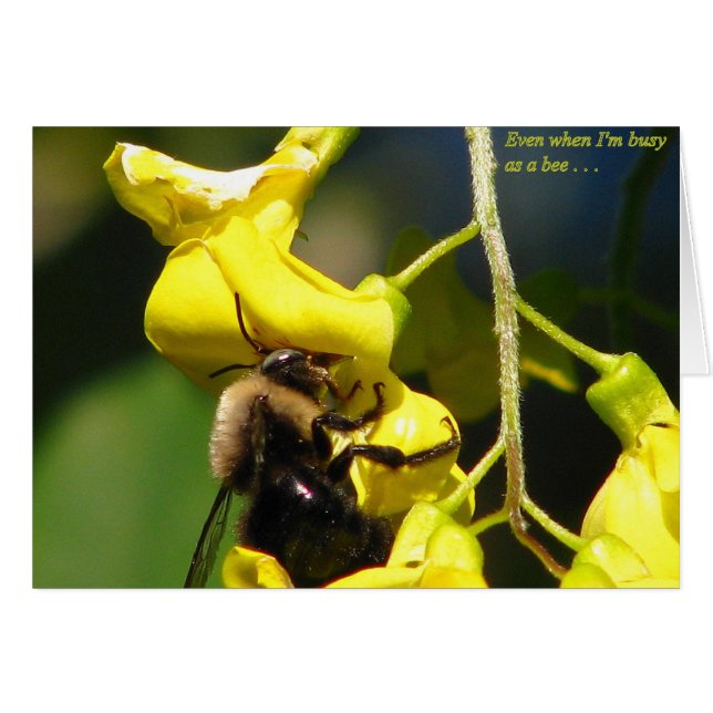 Cartão Ocupado como uma Abelha (Frente Horizontal)