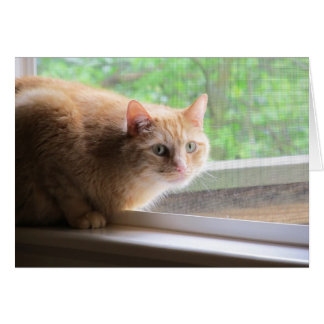 Cartão Odie Orange Cat