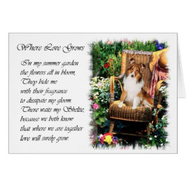 Cartão Ofertas de arte Shetland Sheepdog