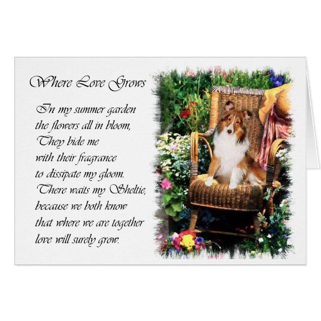 Cartão Ofertas de arte Shetland Sheepdog (Frente Horizontal)