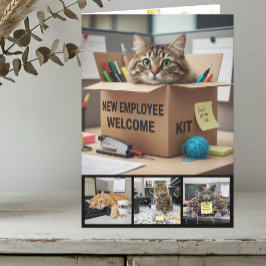 Cartão Office Fun Cats Photo Card, Business Cat
