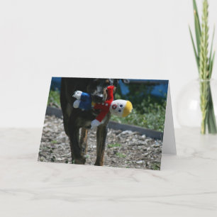 Cartão Oh-No Mr. Bill