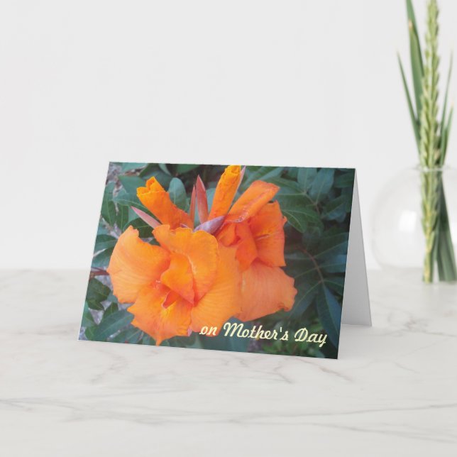 Cartão OH, Placa de Dia de as mães Laranja (Frente)