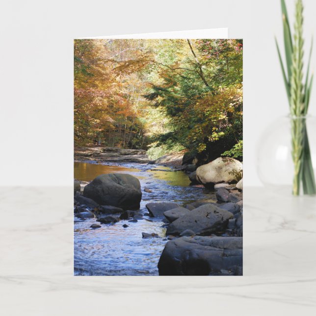 Cartão Ohiopyle (Frente)