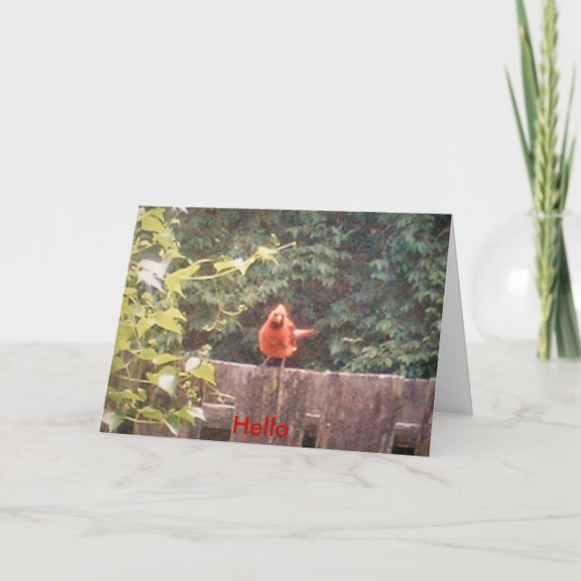 Cartão Olá! (Frente)