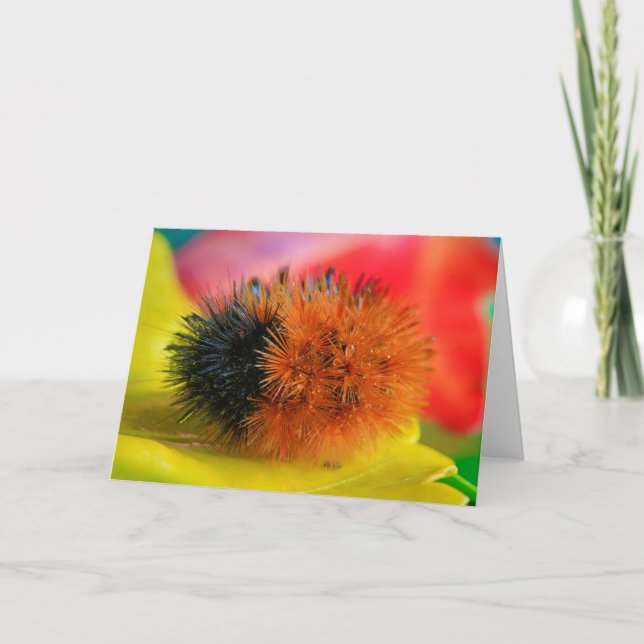 Cartão Olá! (Frente)