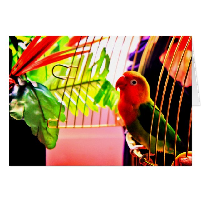 Cartão Olá! (Frente Horizontal)