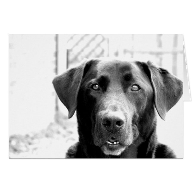 Cartão Olá (Frente Horizontal)