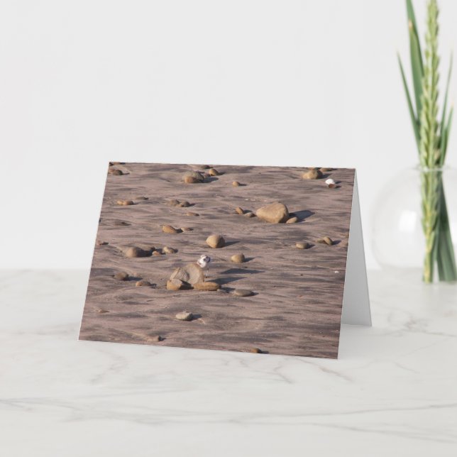 Cartão Olá! (Frente)