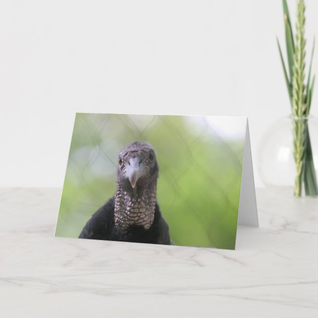 Cartão Olá. (Frente)