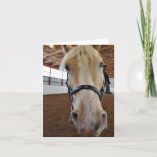 Cartão "Olá" Cavalo