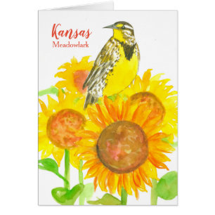 Cartão Olá De Kansas Sunflower Wildflower Meadowlark