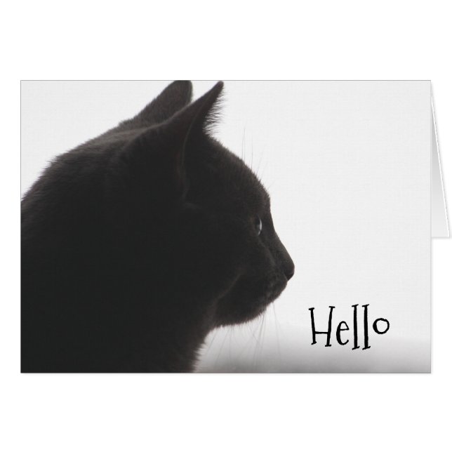 Cartão Olá De Um Gato Gatinho (Frente Horizontal)