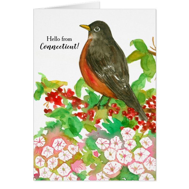 Cartão Olá do Connecticut American Robin State Bird (Frente)