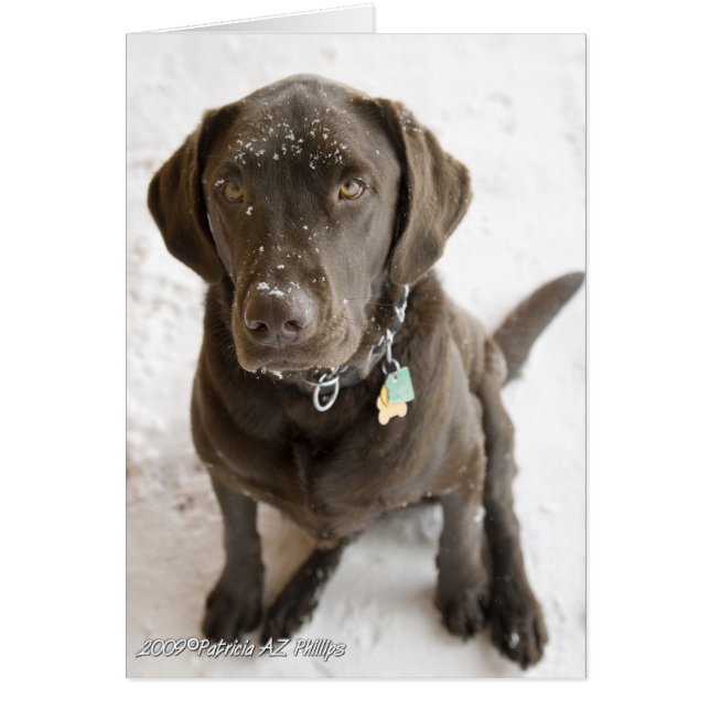 Cartão Olá Doce Labrador Retriever Nevado (Frente)