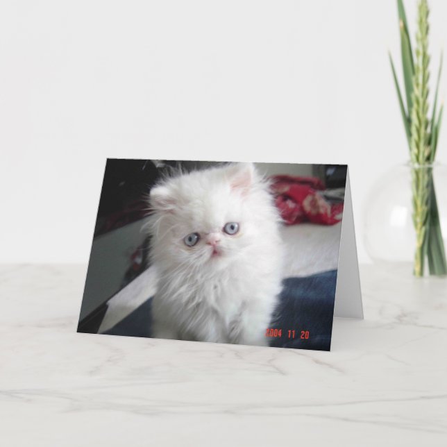 CARTÃO OLÁ GATINHO! (Frente)