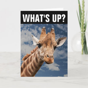 CARTÃO OLÁ GIRAFFE GREETING CARD, E AÍ?
