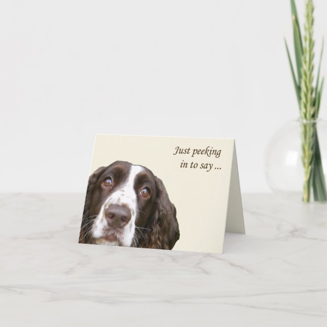 Cartão Olá Inglês Springer Spaniel Card (Frente)