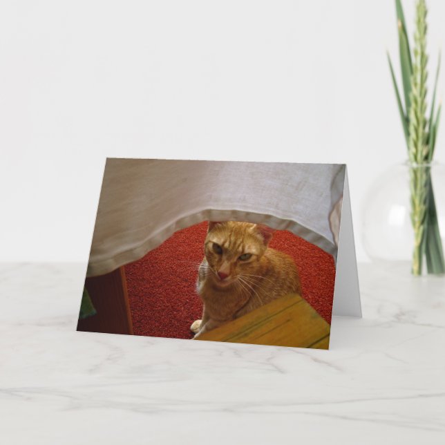 Cartão Olá lá (Frente)