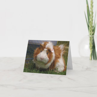 Cartão Olá! lá! (Bobo da corte)