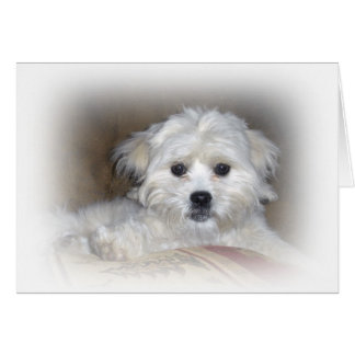 Cartão Olá! lá! Filhote de cachorro desvanecido de Shih