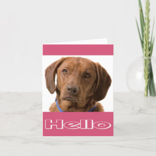 Cartão Olá Labrador Retriever Puppy Dog Note Card