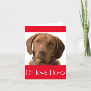 Cartão Olá Labrador Retriever Puppy Dog Note Card