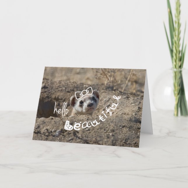 Cartão Olá linda (Frente)