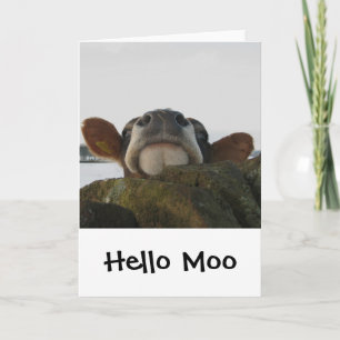 Cartão Olá Moo