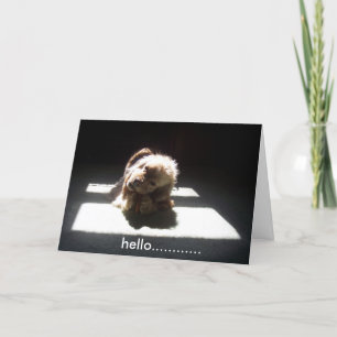 CARTÃO OLÁ, PENSANDO EM VOCÊS AMIGOS OU FAMÍLIA