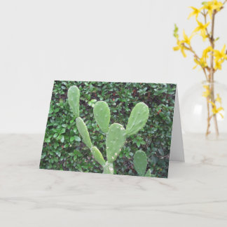 Cartão Olá! Saudações de um doce Cactus ou Mouse?