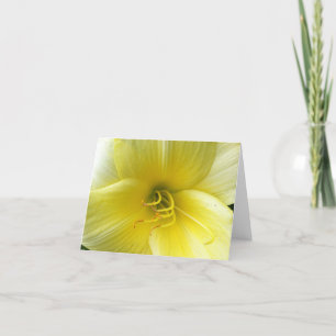 Cartão Olá Sunshine