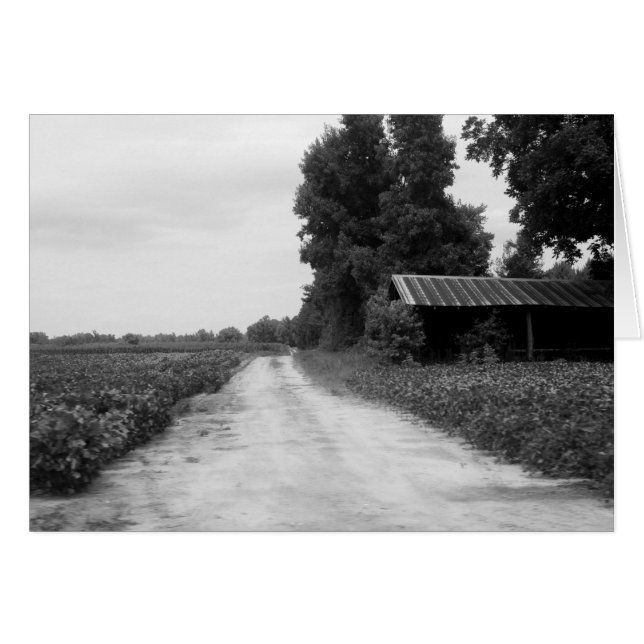 Cartão Old Building Barn na Carolina do Norte (Frente Horizontal)