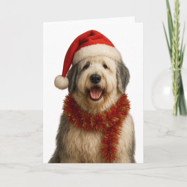 Cartão Old English Sheepdog in a Santa hat Christmas card (Frente)