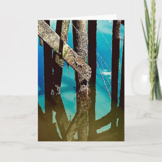 Cartão Old Wharf Pier Barnacle Beams Posts Pilings Card