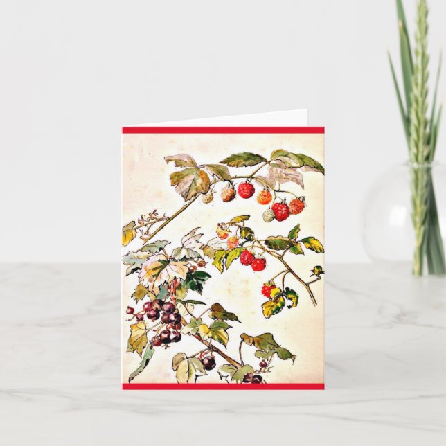 Cartão Oleiro 8 de Ilustração-Beatrix do Notecard-Vintage (Frente)