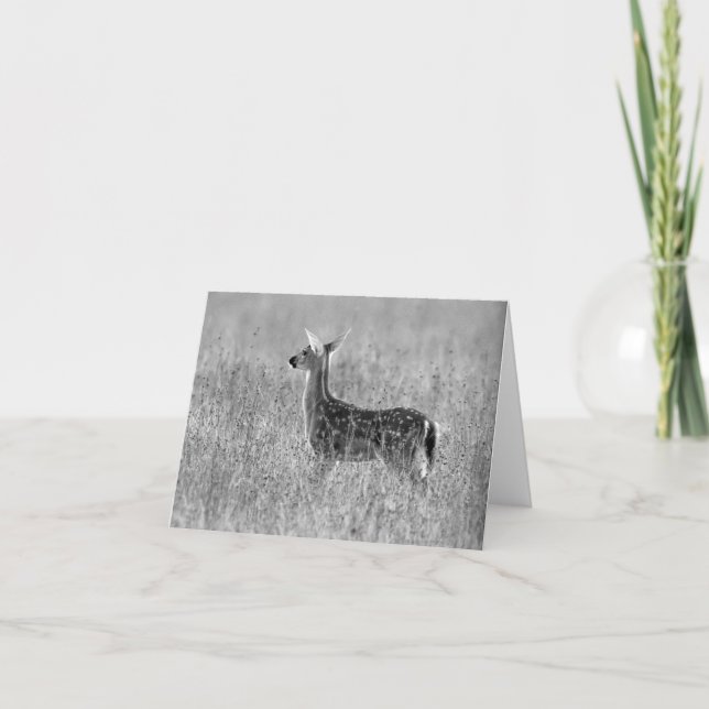 Cartão Olhando a jovem corça (Frente)