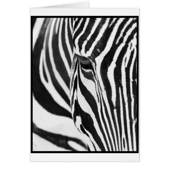 Cartão Olhar fixo da zebra (Frente)