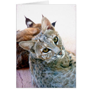 Cartão Olhar fixo   de Gazely customizável