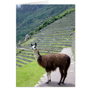 Cartão olhar machu