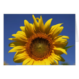 Cartão Olhar para um boo